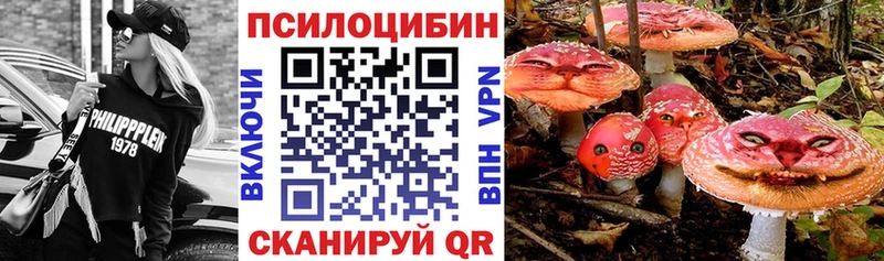 Галлюциногенные грибы Psilocybine cubensis  Усолье-Сибирское 